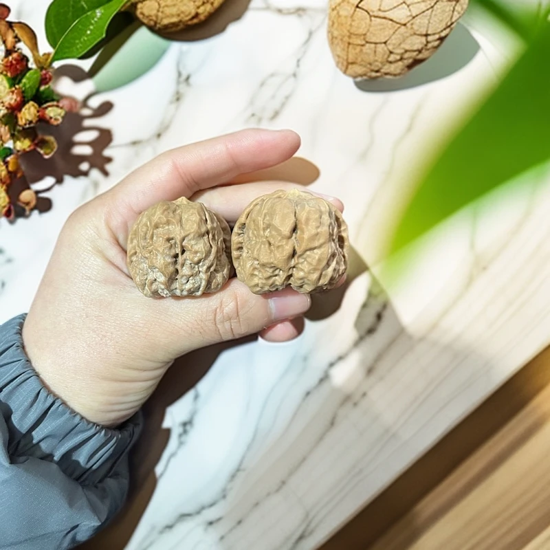 文玩福利专拍N退N换