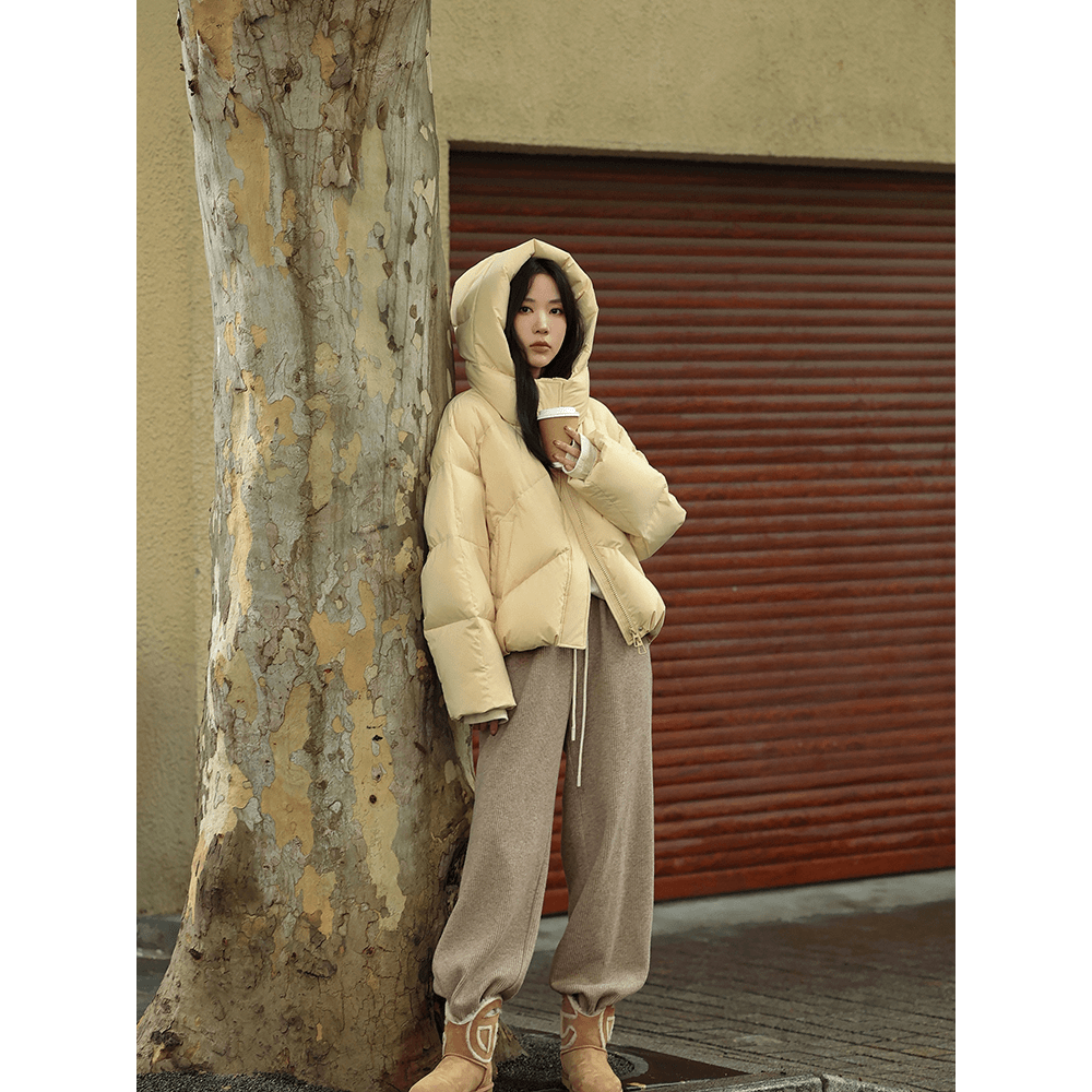 张贝贝ibell 温暖随型 极简轻量感立领连帽羽绒服