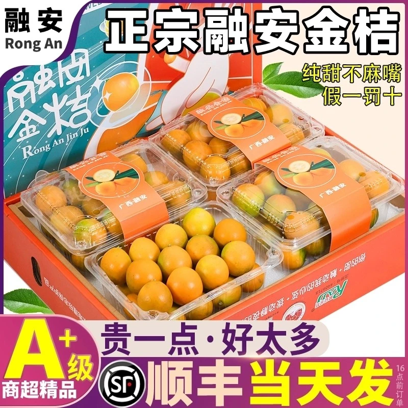 广西融安金桔脆皮桔子产地直发现摘纯甜春见滑皮大果独立包装顺丰