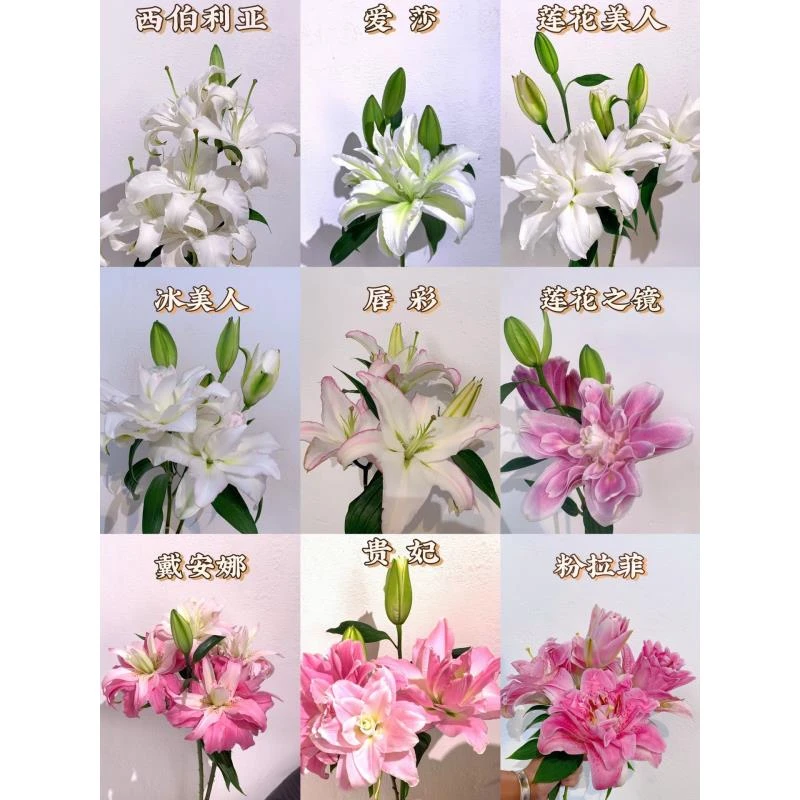 【香樟坊甄选】微瑕百合鲜花