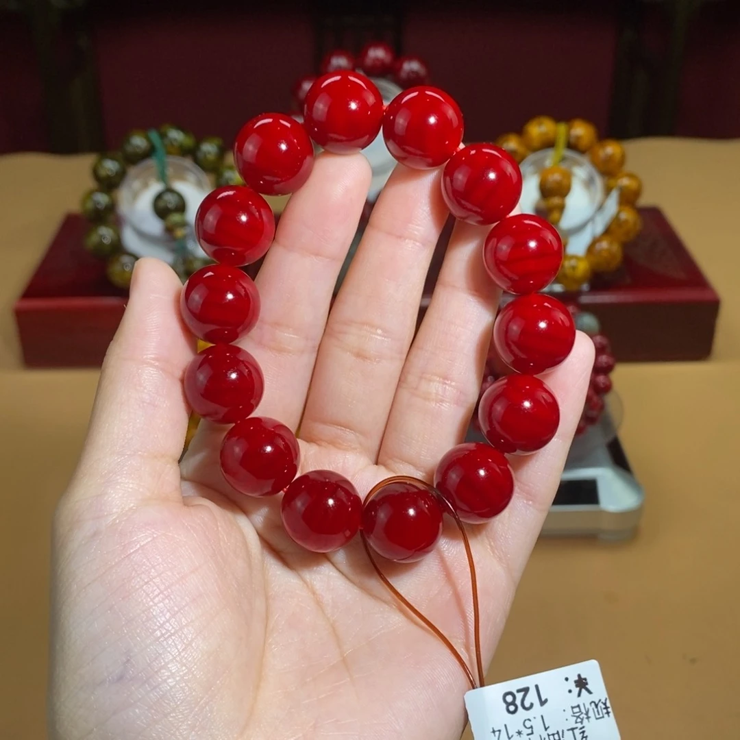 贝壳杉帝王血龙木1.5