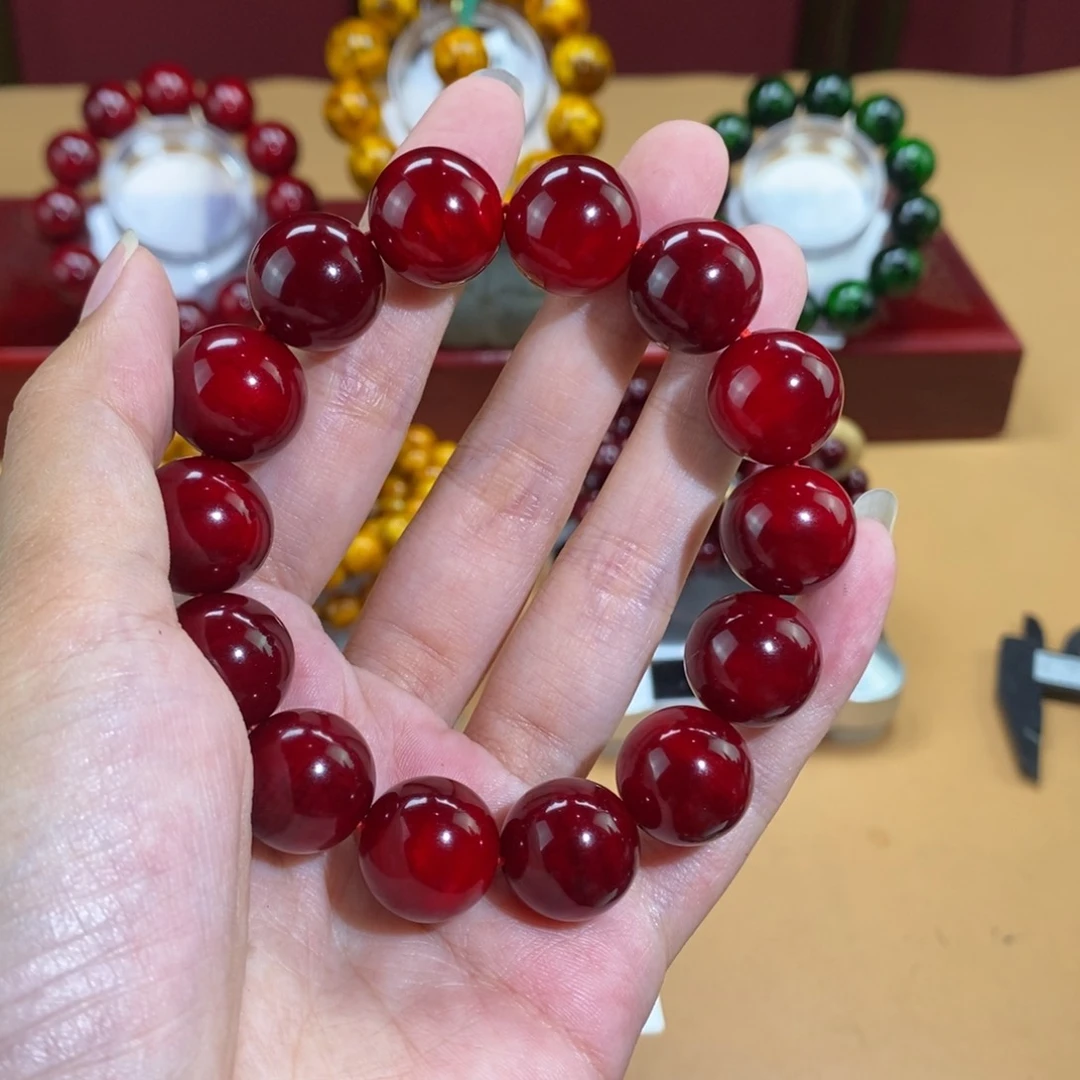 贝壳杉1.5 帝王血龙木