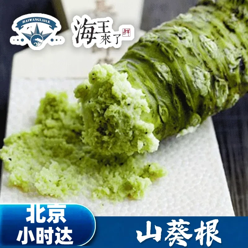 【鲜山葵】1根 内含研磨器