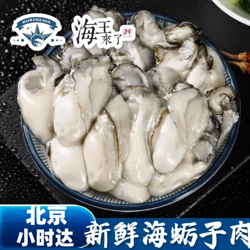 约350g/罐 新鲜先剥海蛎子肉 生蚝肉 牡蛎纯肉 牡蛎煎