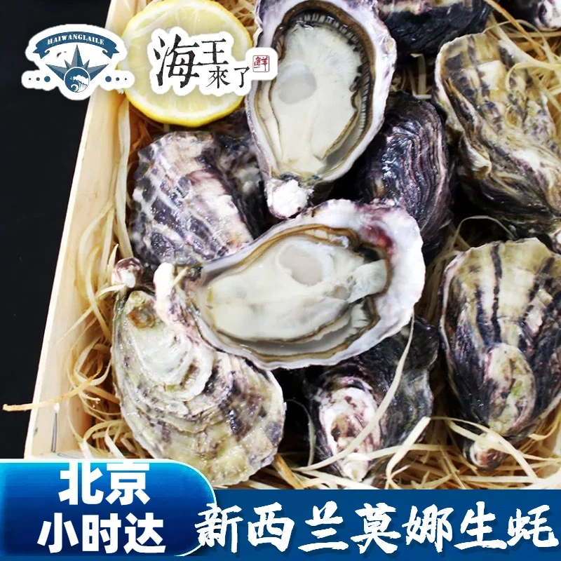 【店铺专属】12只  80-110g/只 新西兰莫娜生蚝  进口高端刺身  新鲜牡蛎
