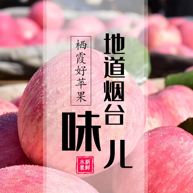 山东烟台栖霞红富士苹果脆甜多汁70-75果净重8.5斤