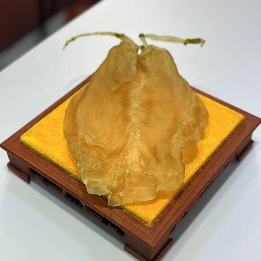（君品堂）干货双须黄金敏鱼胶
