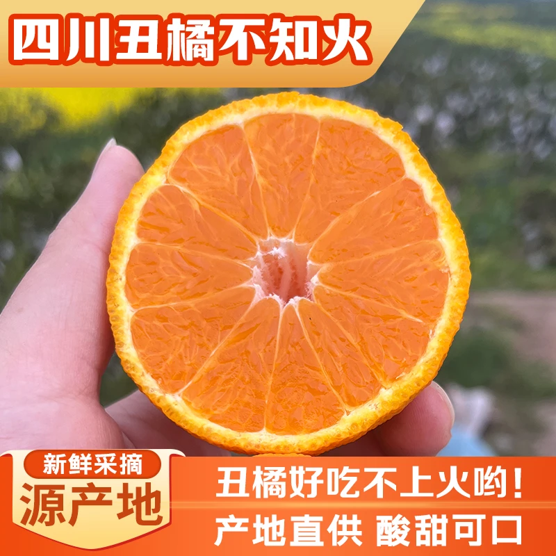 正宗四川眉山丑橘不知火丑八怪5/8斤新鲜采摘发货香甜皮薄酸甜