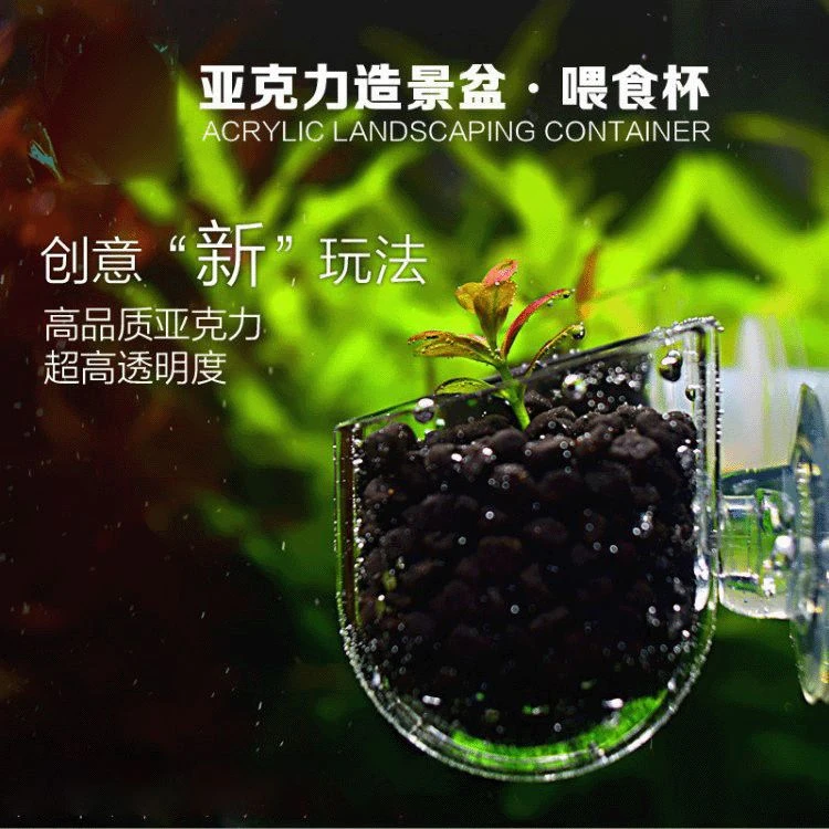 红线虫喂食器投食圈鱼缸红虫杯线虫杯高透明血虫喂食杯鱼缸造景杯