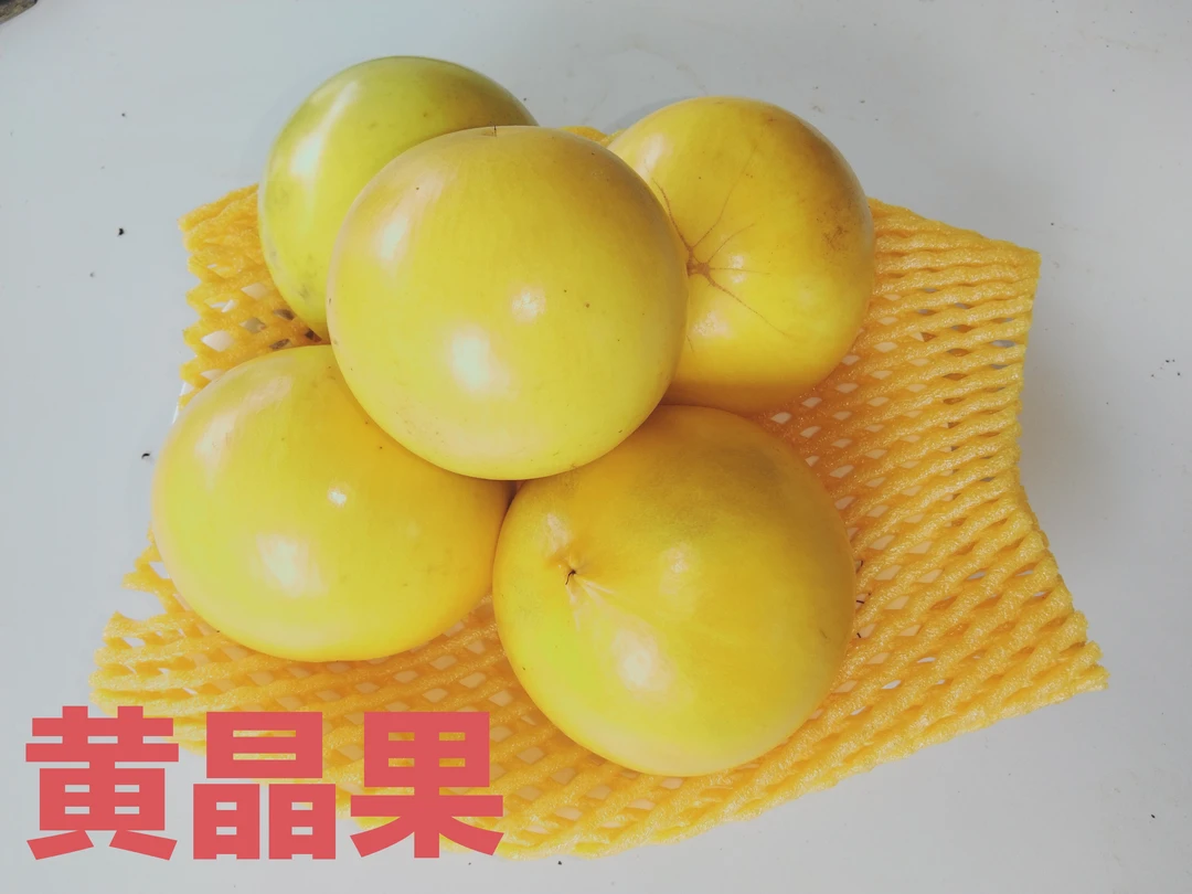 黄晶果/水果燕窝/真果冻  单果150g起