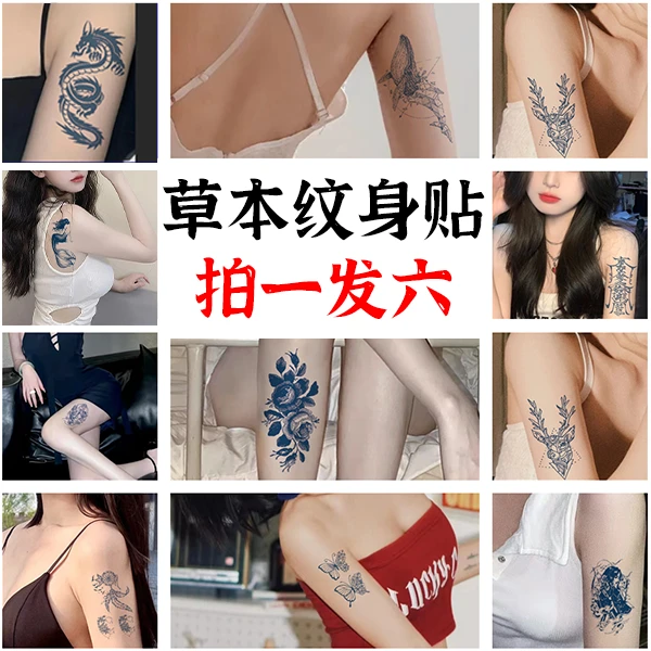【半臂套餐6张】11*18cm持久防水防汗草本纹身贴逼真不反光半永久