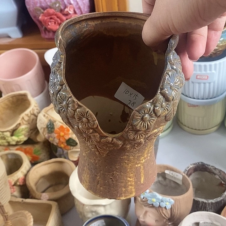 红陶20CM以下信号开播福利多多