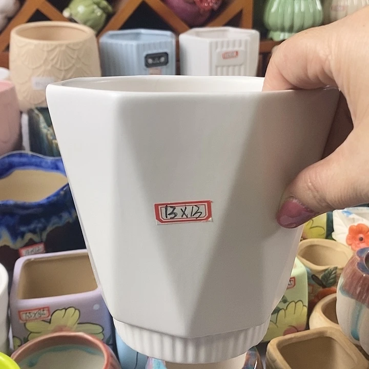 红陶20CM以下新号开播福利多多