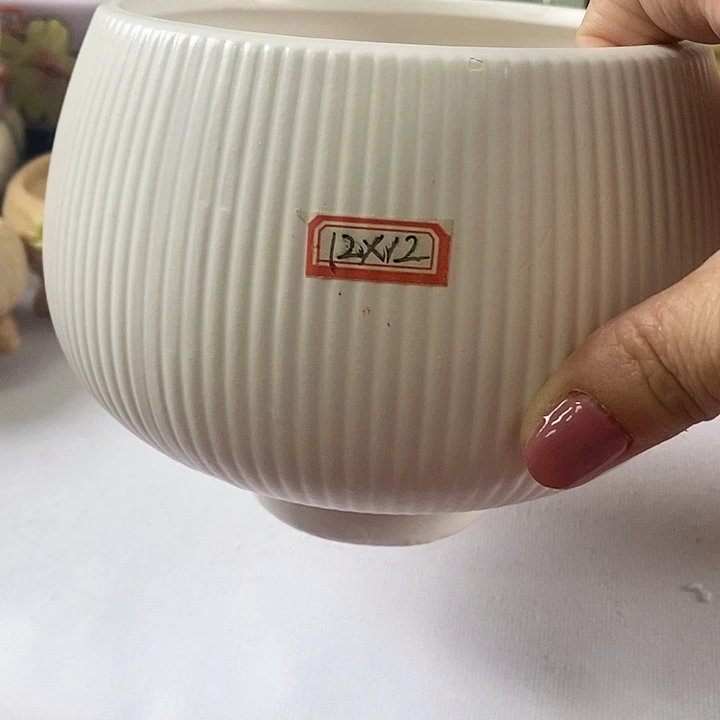 红陶20CM以下信号开播福利多多