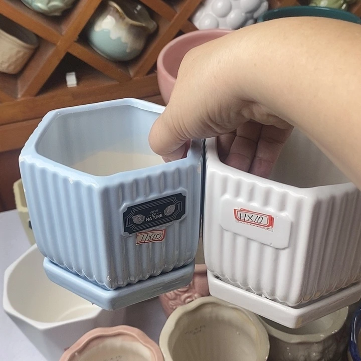 红陶20CM以下新号开播福利多多