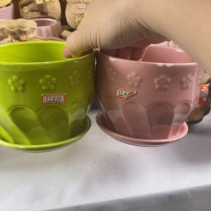 红陶20CM以下新号开播福利多多