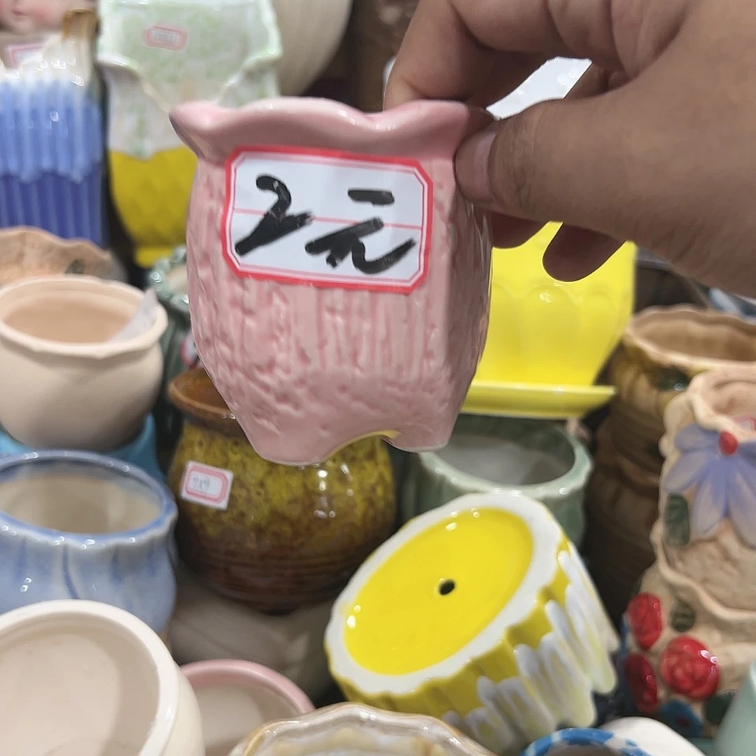 红陶20CM（含）-50CM（不含）