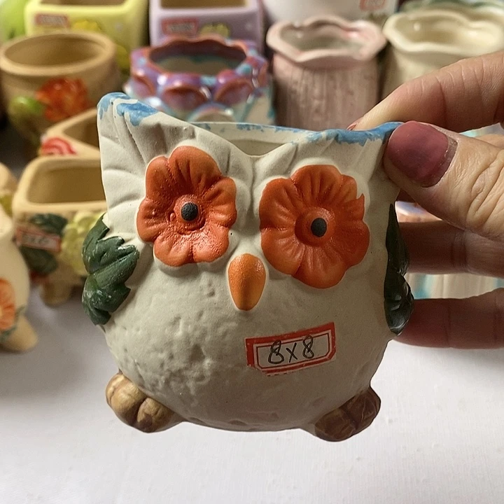 红陶20CM以下新号开播福利多多