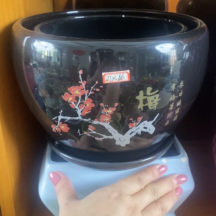 红陶20CM以下新号开播福利多多