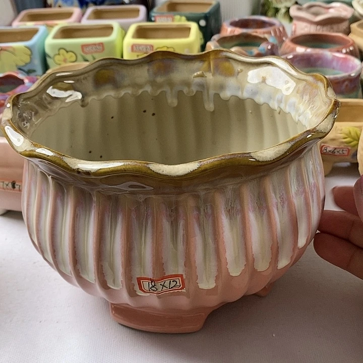 红陶20CM以下新号开播福利多多