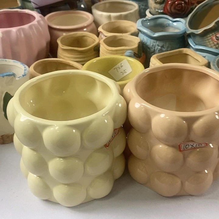 红陶20CM以下信号开播福利多多