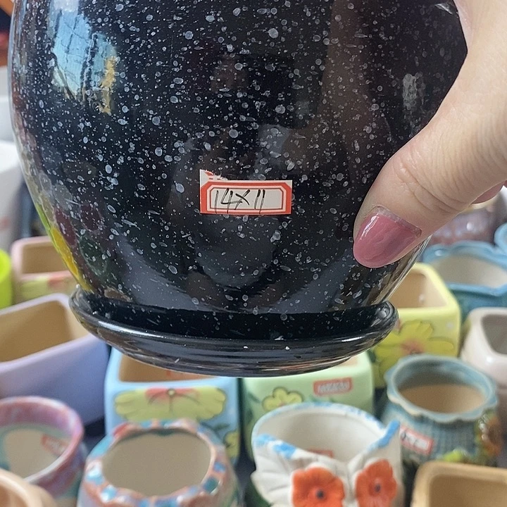 红陶20CM以下新号开播福利多多