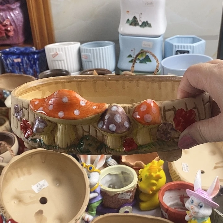 红陶20CM以下新号开播福利多多