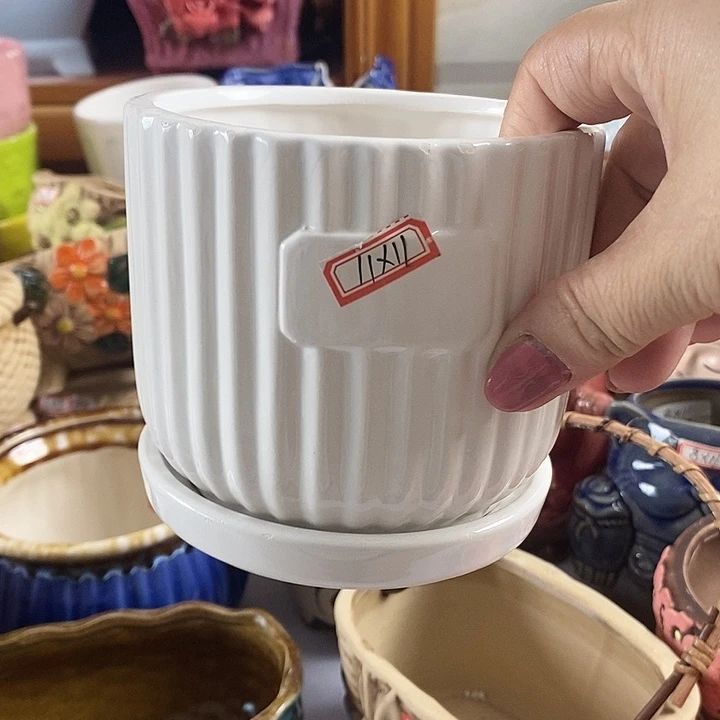 红陶20CM以下新号开播福利多多