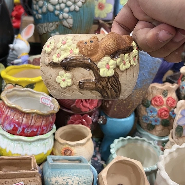 红陶20CM（含）-50CM（不含）