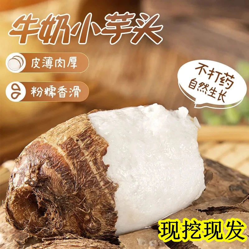 【山东特产】农家新鲜现挖牛奶芋头（3-5斤）细腻香糯精选