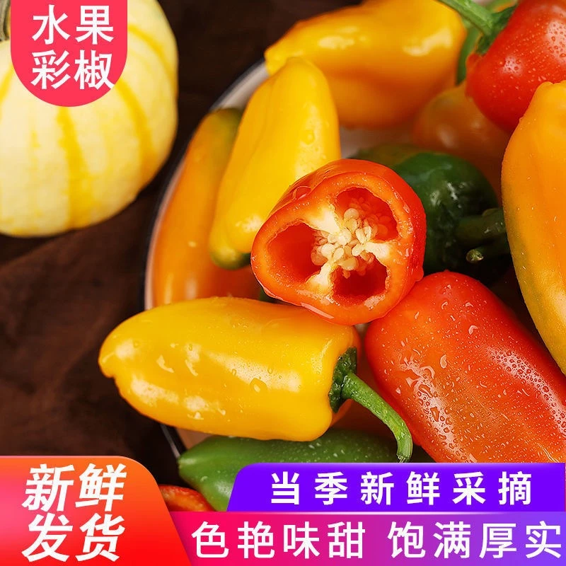 山东寿光新鲜现摘迷你水果甜椒清甜无辣(1-4斤)产品爽口脆嫩饱满