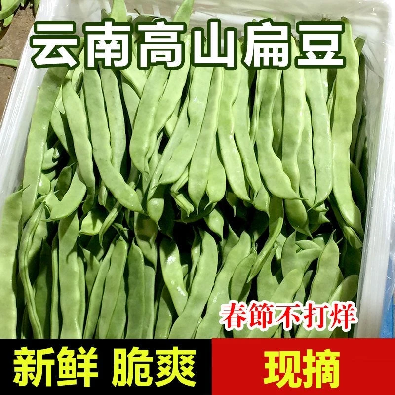 云南高山新鲜扁豆蔬菜新鲜蔬菜3斤5斤9斤