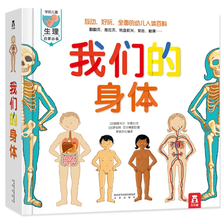 我们的身体儿童3d立体书 乐乐趣立体书全套 身体的秘密揭秘翻翻书