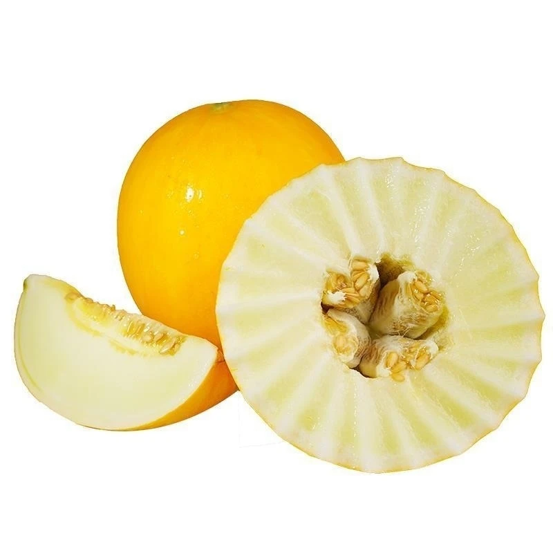 密瓜版纳甜瓜香瓜香甜爽口品尝标配装鲜嫩鲜甜美味