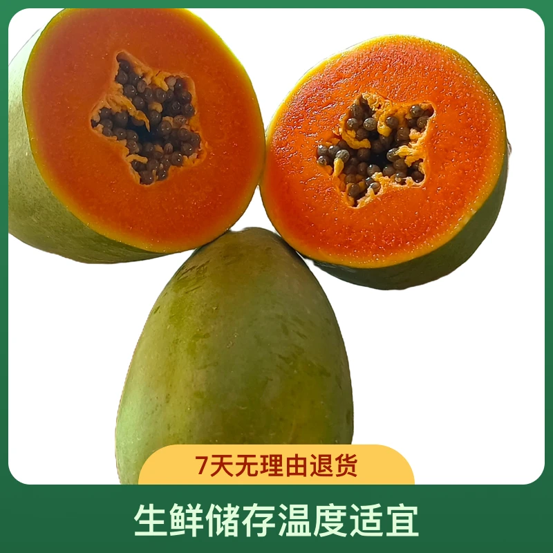 红心木瓜现摘现发香甜软糯食用牛奶树上云南柚子