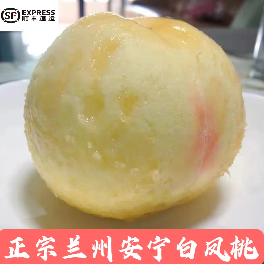 省外|正宗兰州安宁白凤桃水蜜桃新鲜桃现摘现发顺丰空运冷链包邮