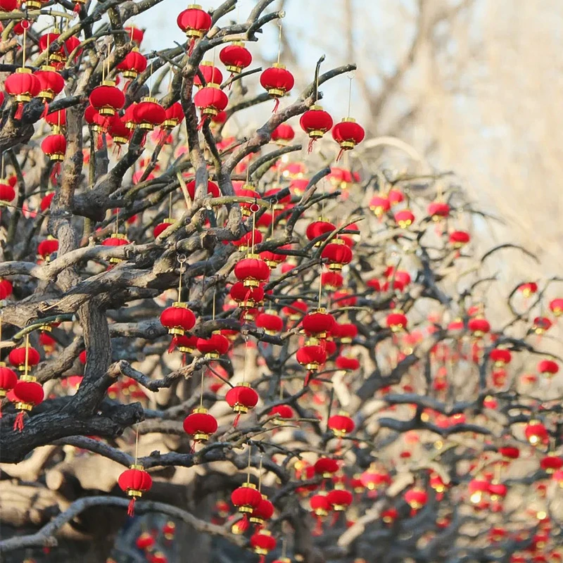映菲寻小红灯笼挂饰2025新款新年春节植绒过年喜庆绿植装饰品挂件
