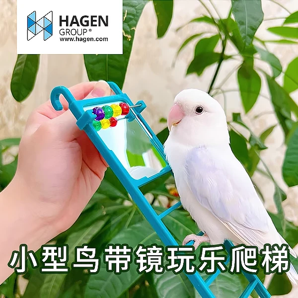 加拿大原装进口哈根Living World 小型鸟带镜玩乐爬梯Hagen笼玩具