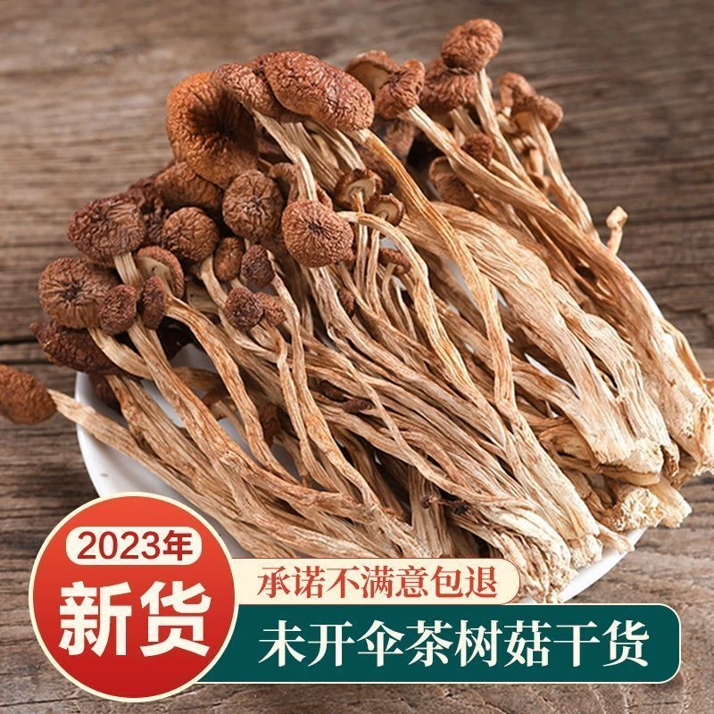 茶树菇干货500g不开伞香菇60g煲汤食材蘑菇新鲜干茶树菇商用清香