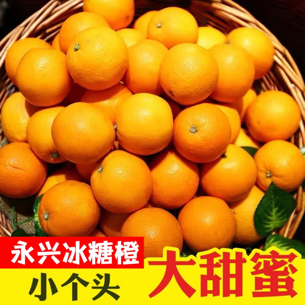 【婆婆来了专属】正宗永兴冰糖橙纯甜果园直发新鲜现摘薄皮9斤