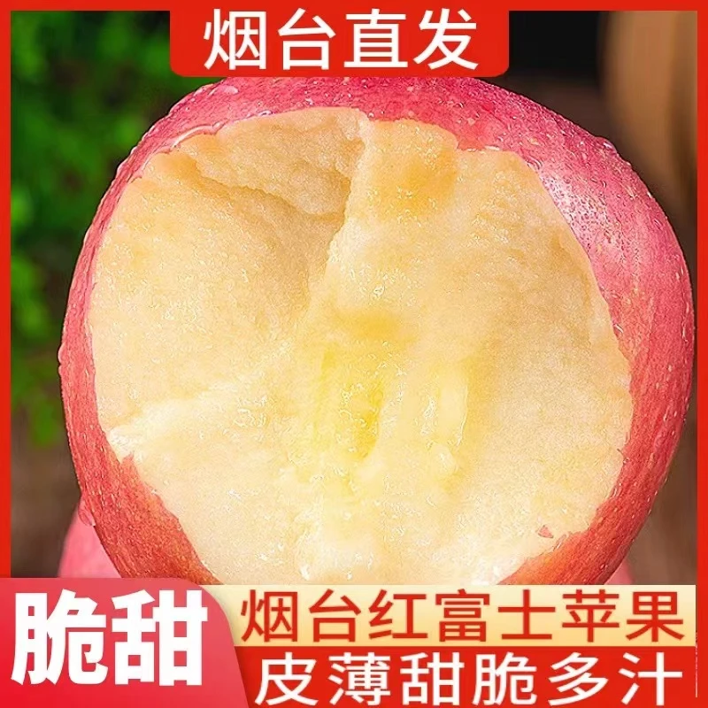 正宗山东烟台栖霞红富士苹果新鲜水果4.5-5斤栖霞脆甜苹果包邮