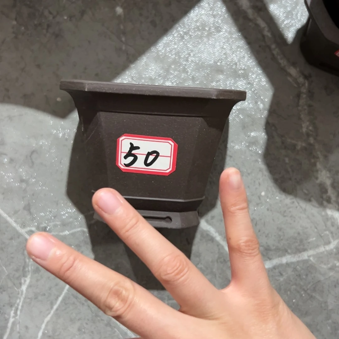 【闪购商品】紫砂花盆福利