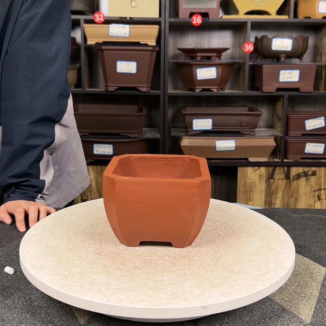 【闪购商品】紫砂花盆莆***根