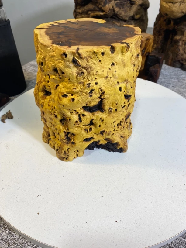 雷击木随行小墩。以直播间截图为准！