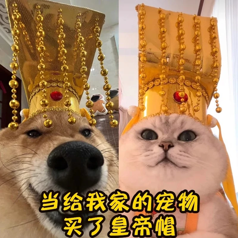 狗狗皇帝帽子宫廷头饰创意搞怪猫咪头套拍照道具宠物秦始皇头冠