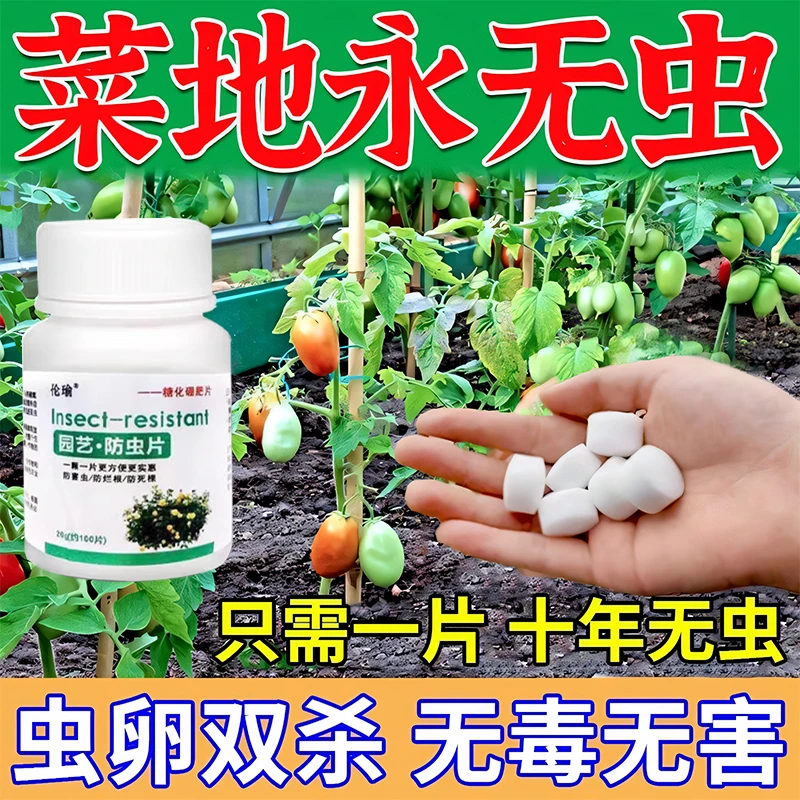 园艺防虫片糖化硼肥片花卉杀虫片小黑飞蚜虫蓟马白粉虱防烂根防害