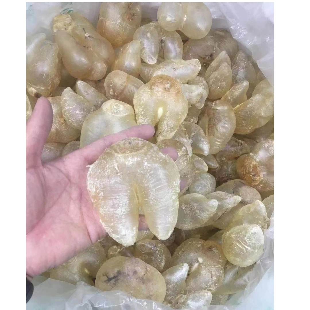 瑞燕   正品干货鱼胶鸡泡胶女人胶滋补鱼胶1～500g