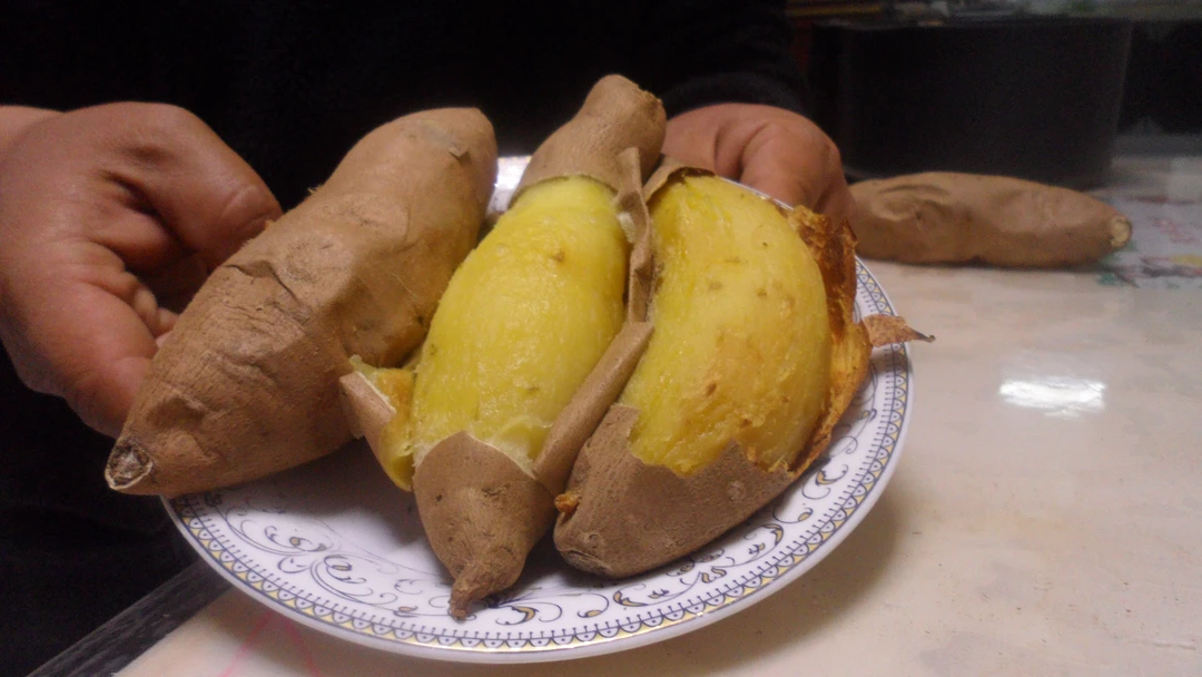 山东威海荣成蜂蜜罐地瓜软糯香甜，适合烤，蒸，做粥好吃