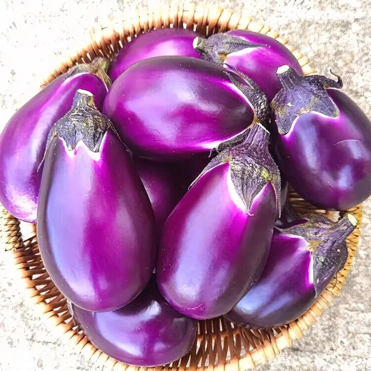 【贵州、镇宁】7鲜本地农家特产正宗新鲜现摘当季短圆茄子3斤5斤包邮