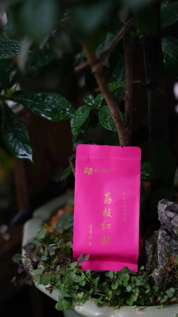 蔡晨啸荔枝红韵（2024年）500g-白琳工夫红茶